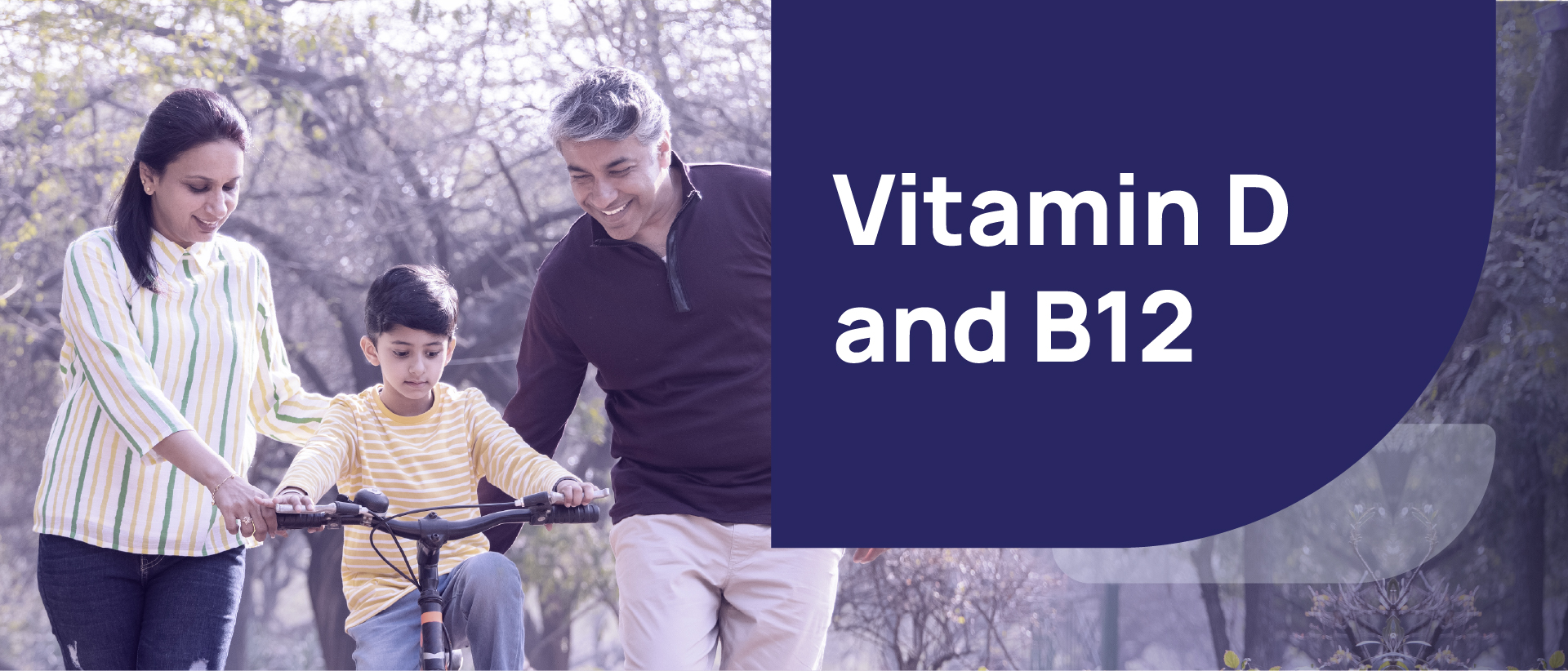 Vitamin B12 (Cyanocobalamin)